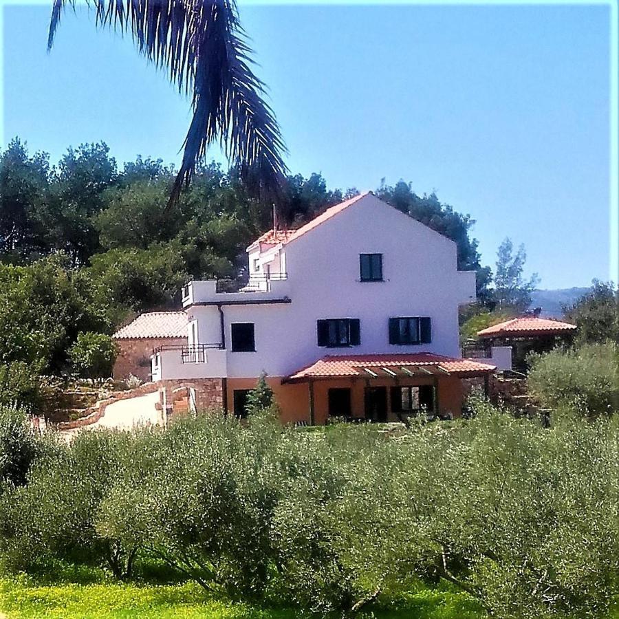 Lavender Hill Hvar Villa - Pool, Jacuzzi,Sauna,Bbq Stari Grad  Zewnętrze zdjęcie
