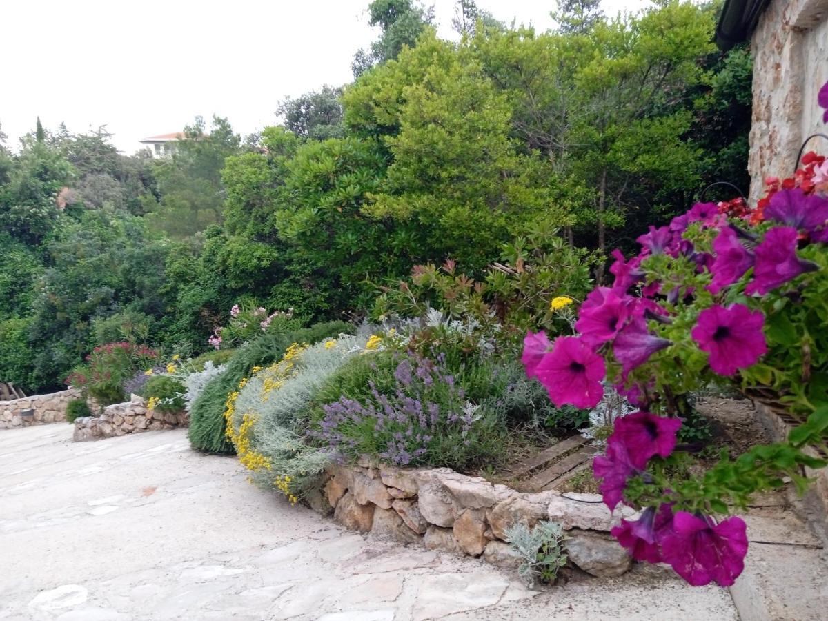 Lavender Hill Hvar Villa - Pool, Jacuzzi,Sauna,Bbq Stari Grad  Zewnętrze zdjęcie