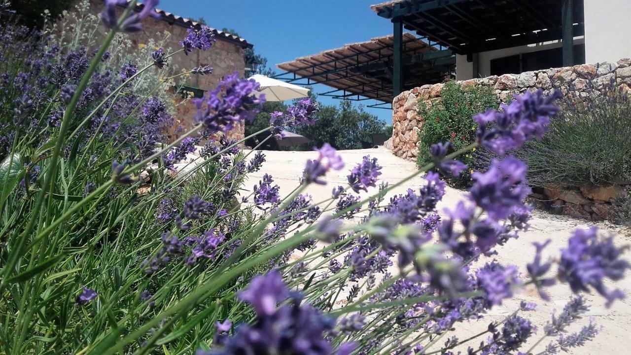 Lavender Hill Hvar Villa - Pool, Jacuzzi,Sauna,Bbq Stari Grad  Zewnętrze zdjęcie