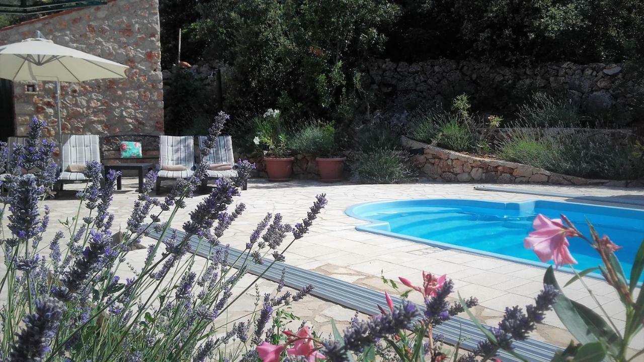 Lavender Hill Hvar Villa - Pool, Jacuzzi,Sauna,Bbq Stari Grad  Zewnętrze zdjęcie